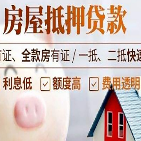 嵊州贷款助贷公司新渝启服成立时间久
